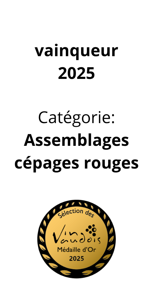 Vieux Toit - Toit Noir