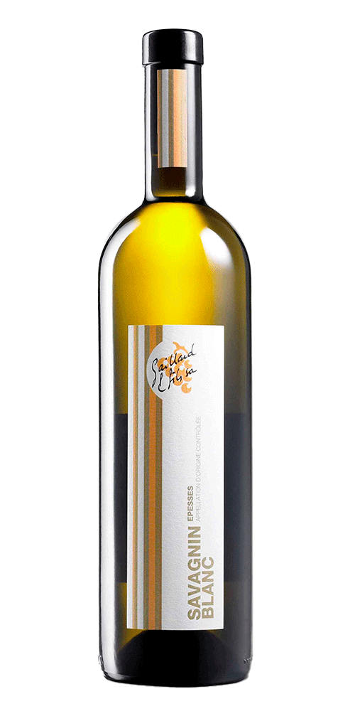 Gaillard & Fils - Savagnin d'Epesses