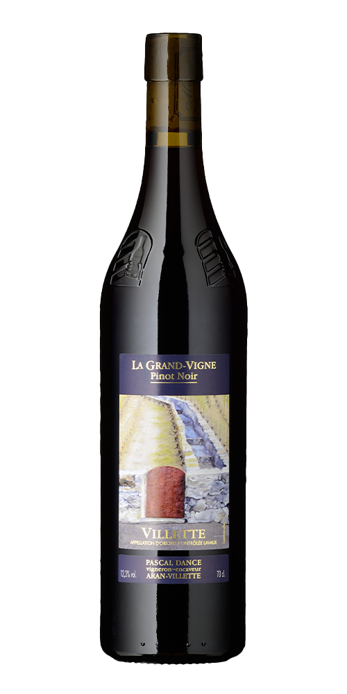 Pascal Dance - La Grand-Vigne Pinot Noir